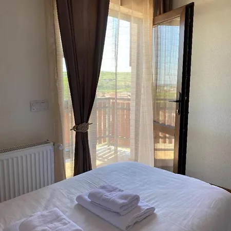 Guest house Pensiunea Eden