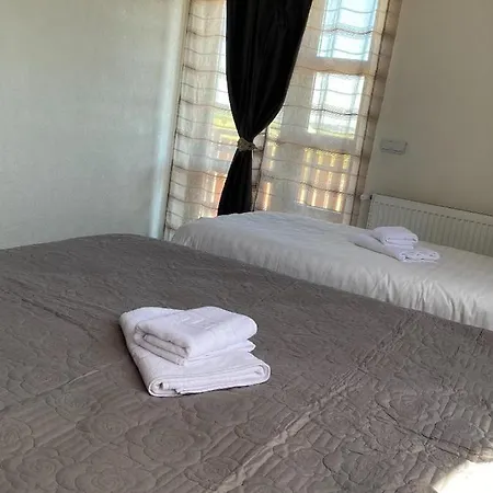 Guest house Pensiunea Eden