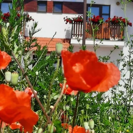 Pensiunea Eden Copaceni