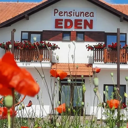 Pensiunea Eden *