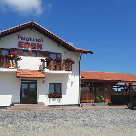 Guest house Pensiunea Eden *
